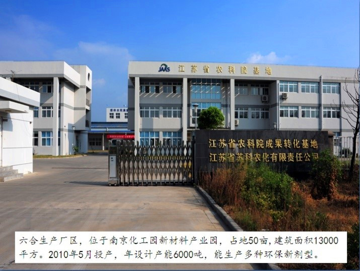 开云官方网页版